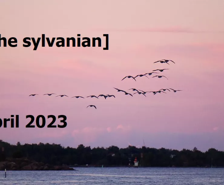 Flock of migrating birds against a pink sky