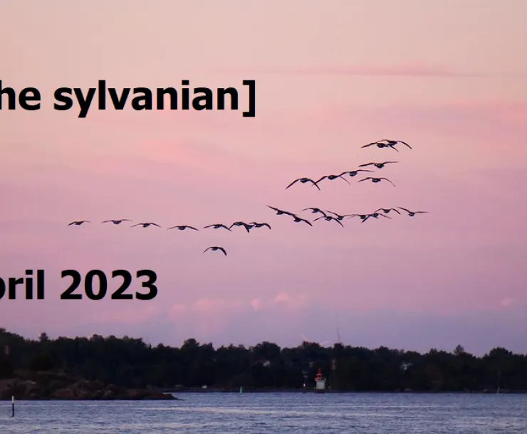 Flock of migrating birds against a pink sky