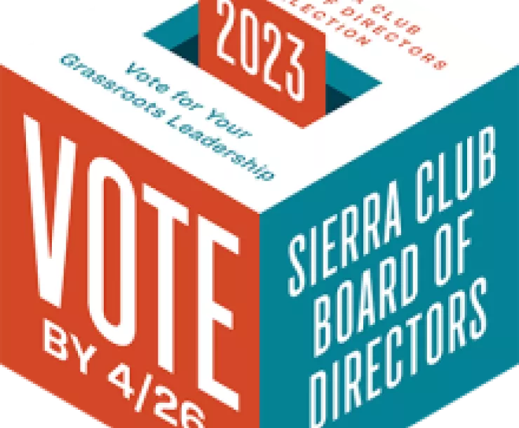Board of Directors Election