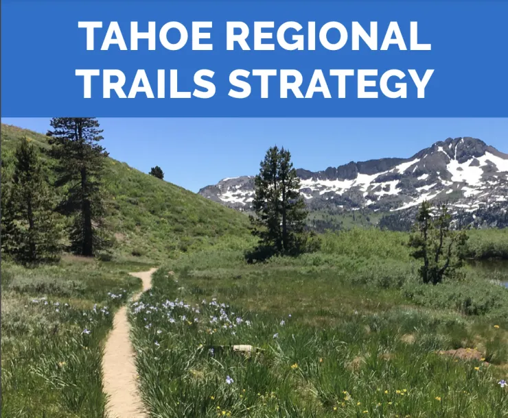 Trails strategy
