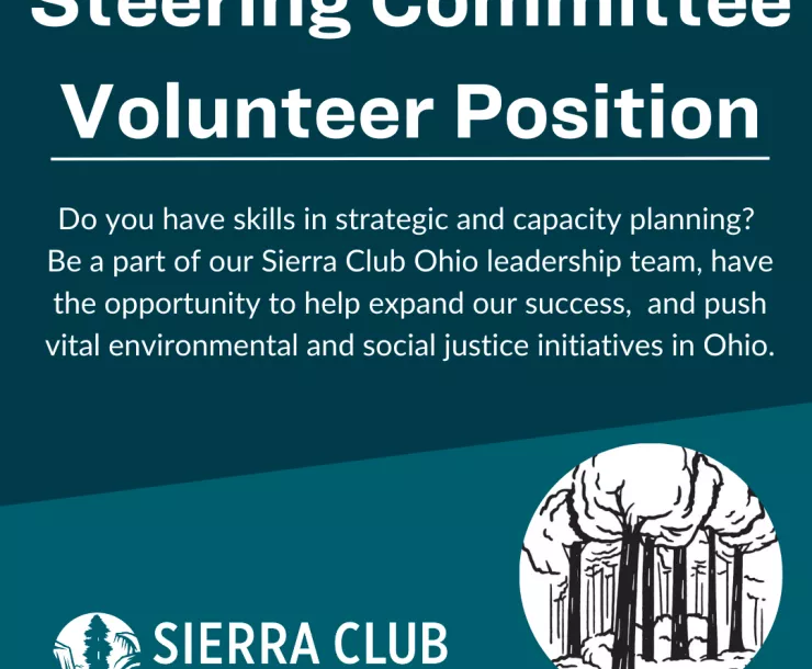 Steering Committee Volunteer Position Opening