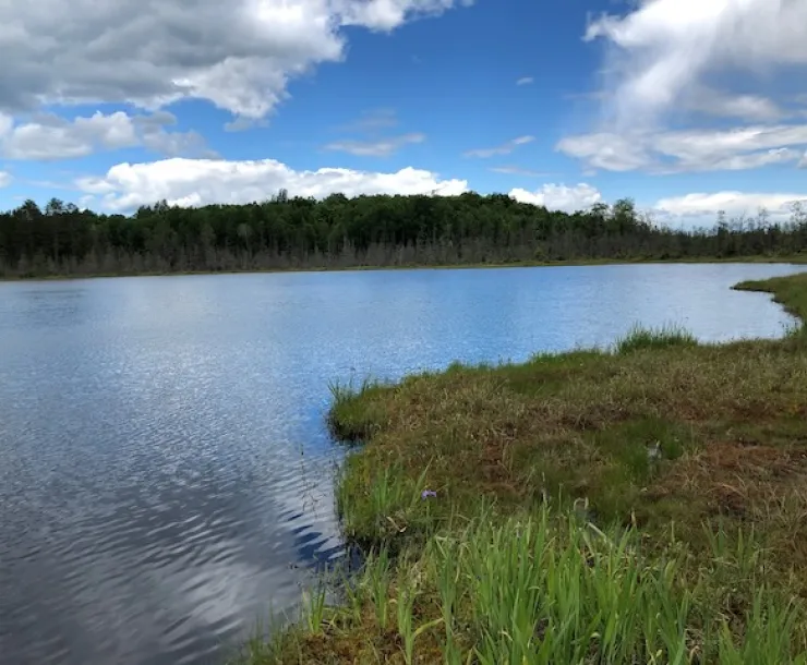 Northern Lake 
