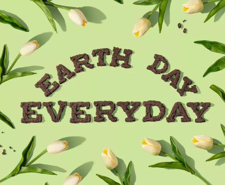 Earth Day Every Day - Yellow tulips and green leaves 
