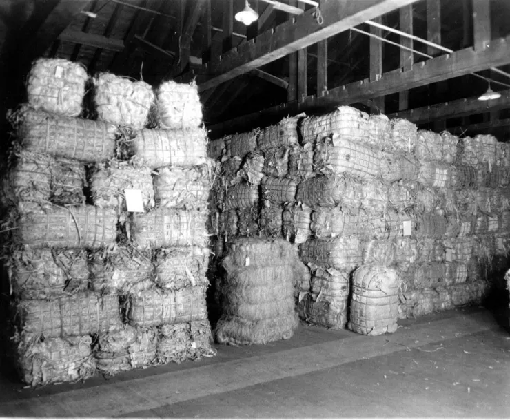 Hemp Storage