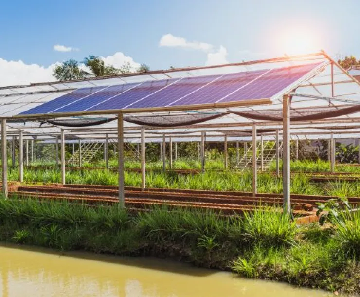 solar greenhouse