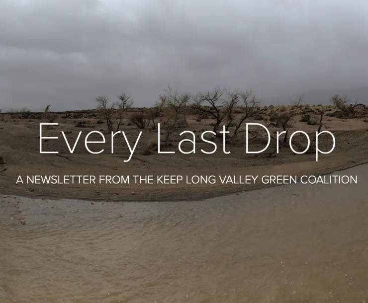 Every Last Drop