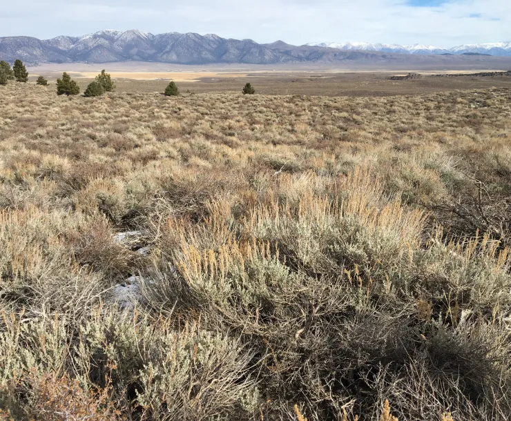 Long Valley Caldera
