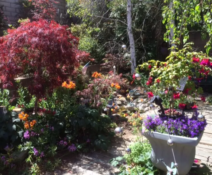 Jim Hines’ garden in March 2023