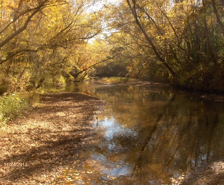 Nature Preserve