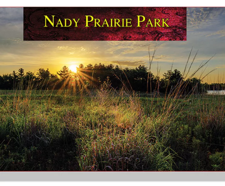 Nady Prairie Park at sunrise