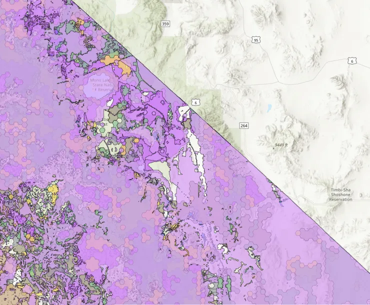 BLM map