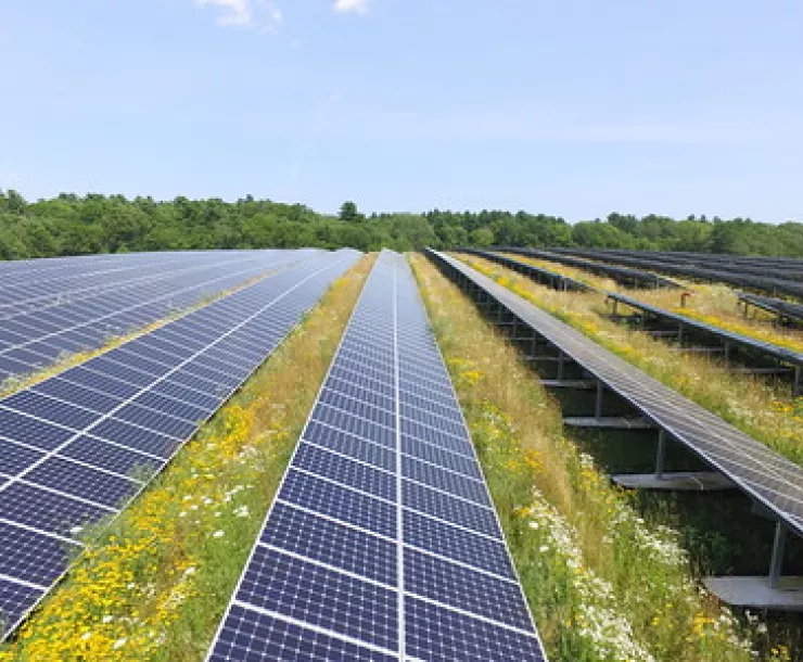 solar array