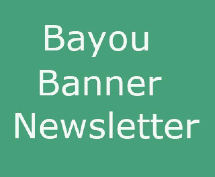 Newsletter