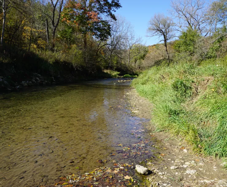 Bloody Run Creek in Clayton County, Iowa