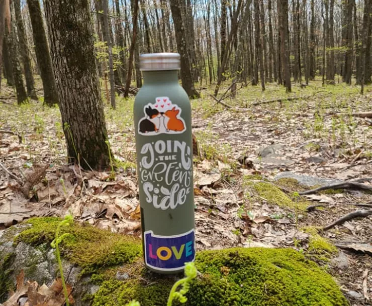 Water bottle in the forest