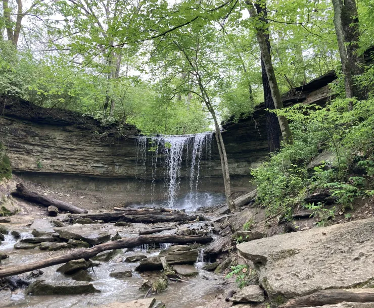 A small waterfall nestled in craggy rocks with green leafy trees at the top and to the right side of the photo. The waterfall drops to a small creek with fallen branches and rocks shining in the water.