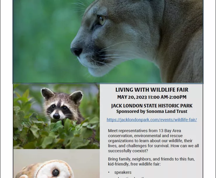 wildlife fair poster