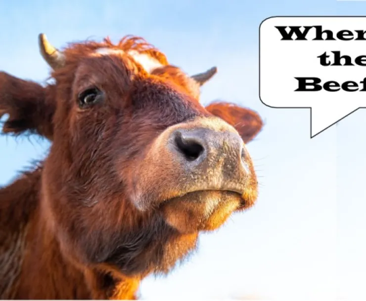 Cow 