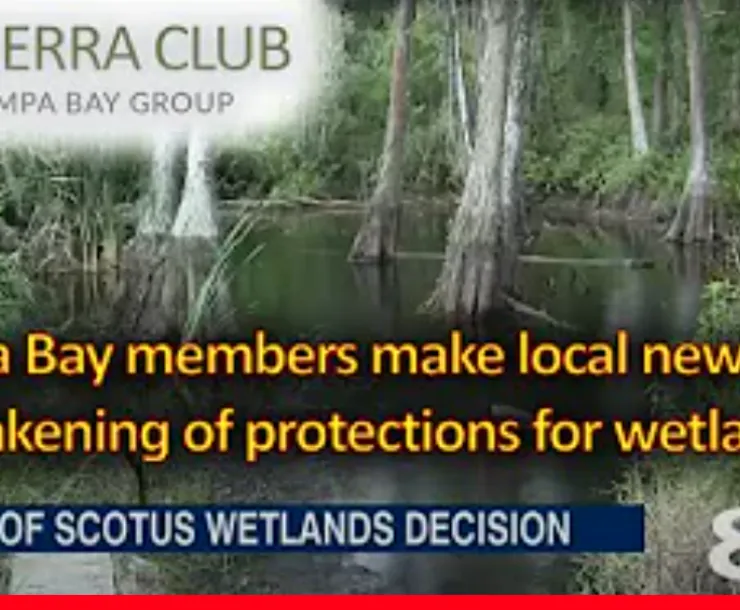 Wetlands Protection
