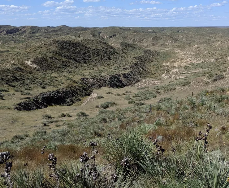 scenic terrain of deep ravines, canyons, and vertical cliffs with native grasses