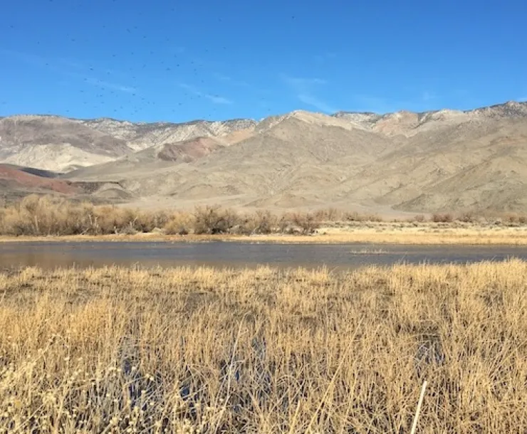 Calvert Slough