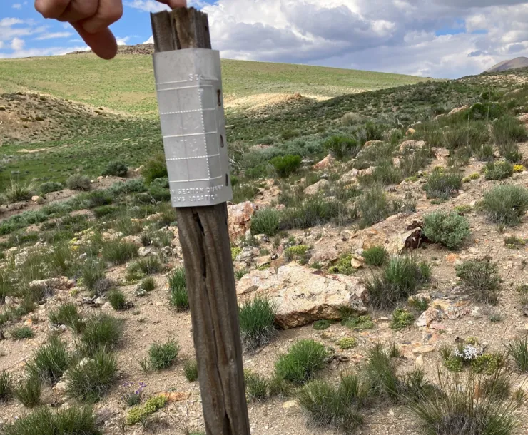 Claim stake