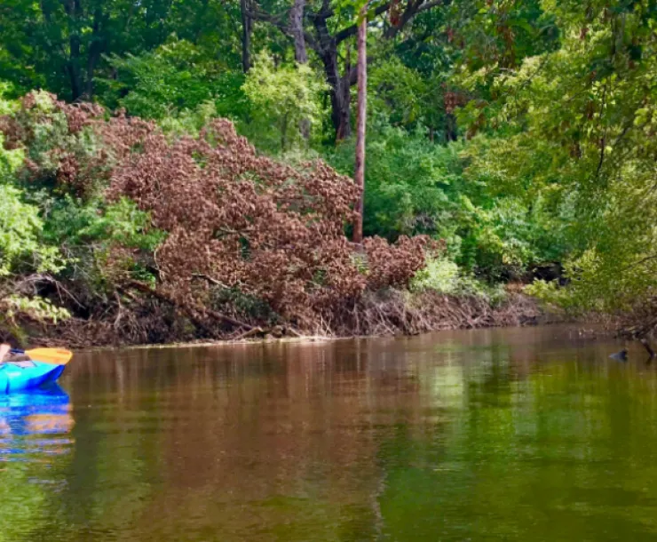 Des Plaines River Paddle
