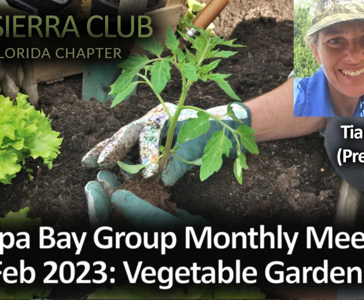 2023-02 How to Plant