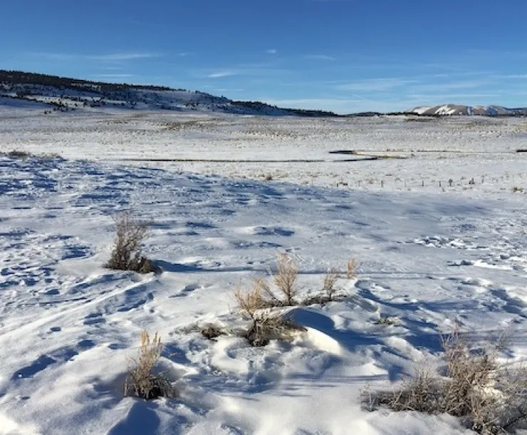 Hot Creek