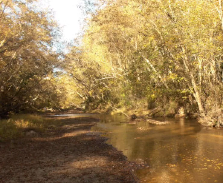 Lake Houston Wilderness Park