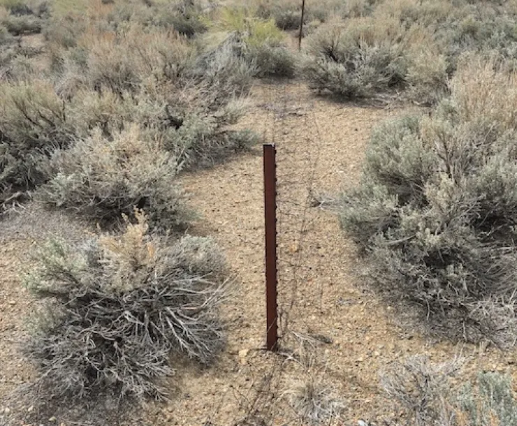 Conway Ranch