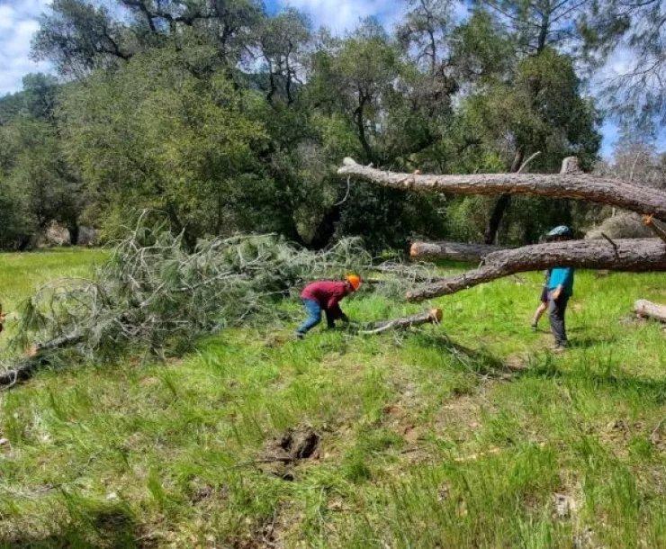 LPFA Volunteers Clearing Trail CrosscutWork, Photo by Marcus Imes