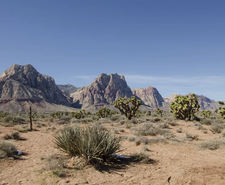 Spring Mountain