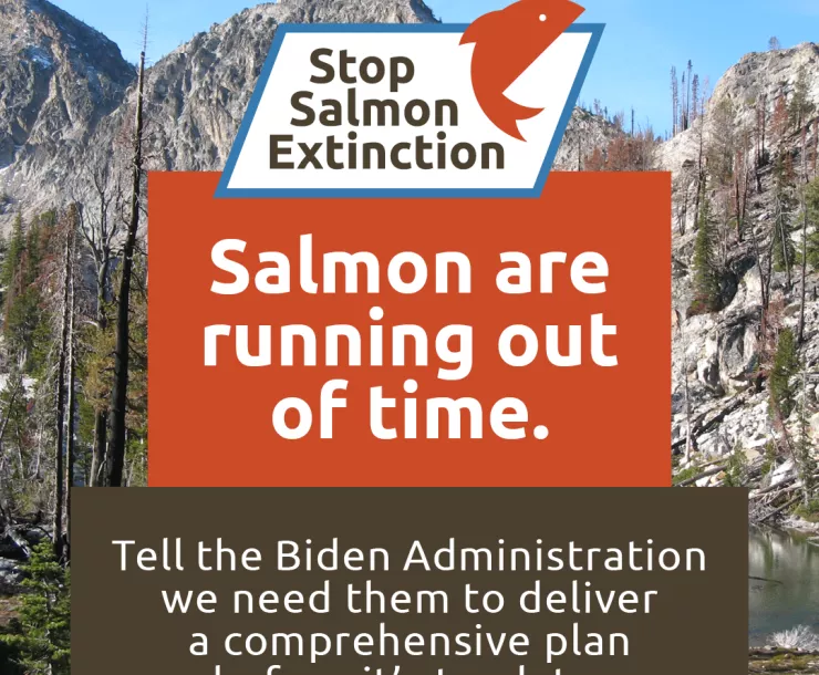 Graphic that has Stop Salmon Extinction logo and says "Salmon are running out of time: Tell the Biden Administration we need them to deliver a comprehensive plan before it's too late"