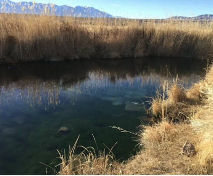 Fish Slough