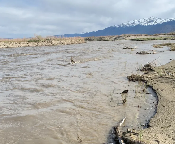 Walker Lake
