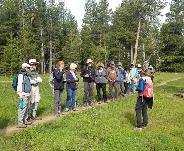 Wildflower hike