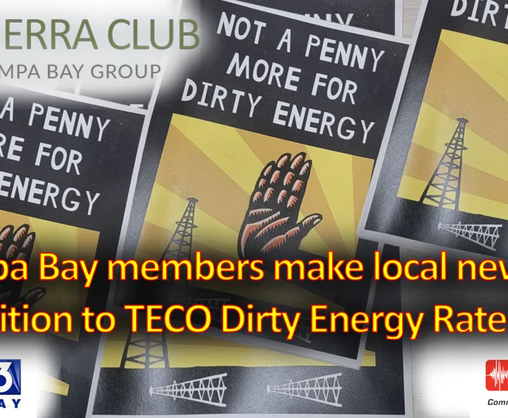2023-05 Conservation TECO