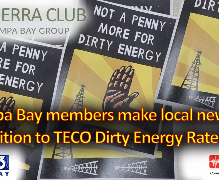 2023-05 Conservation TECO