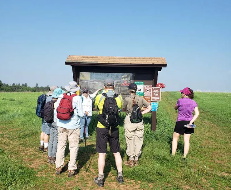 Slavin Conservation Area Outing