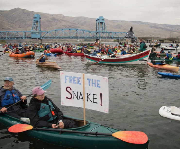 Kayakers engage in kayaktism on the Columbia, holding up signs and clustered tightly together
