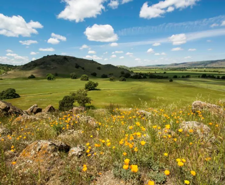 Coyote Valley