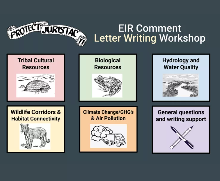 EIR Workshop