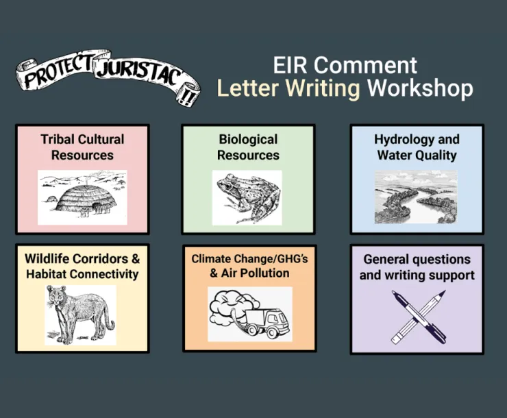 EIR Workshop