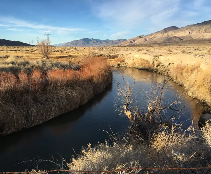 Owens River Above Intake