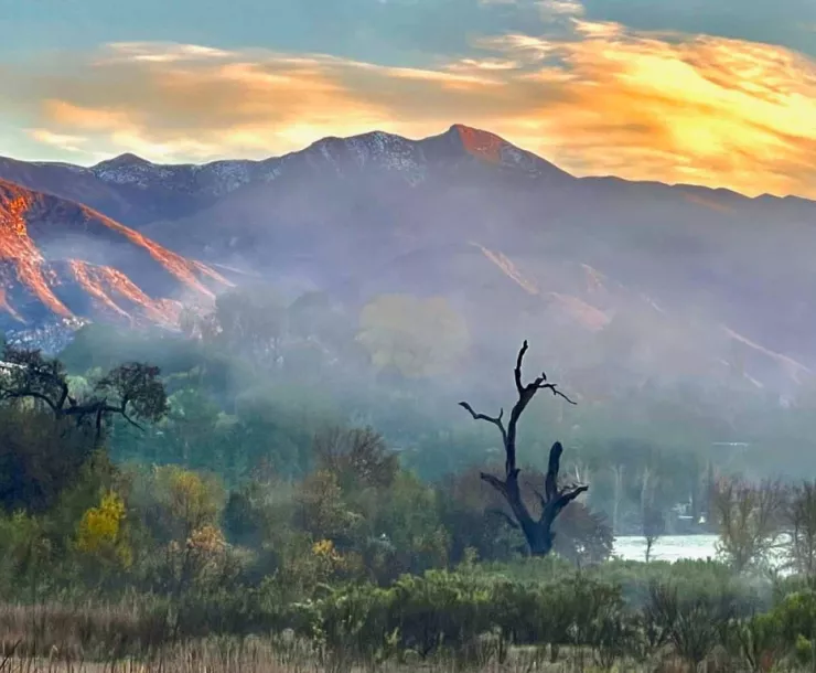 Ojai Morning
