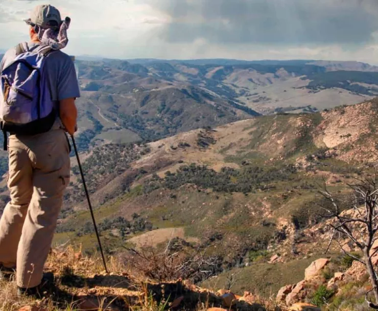 Take a Hike