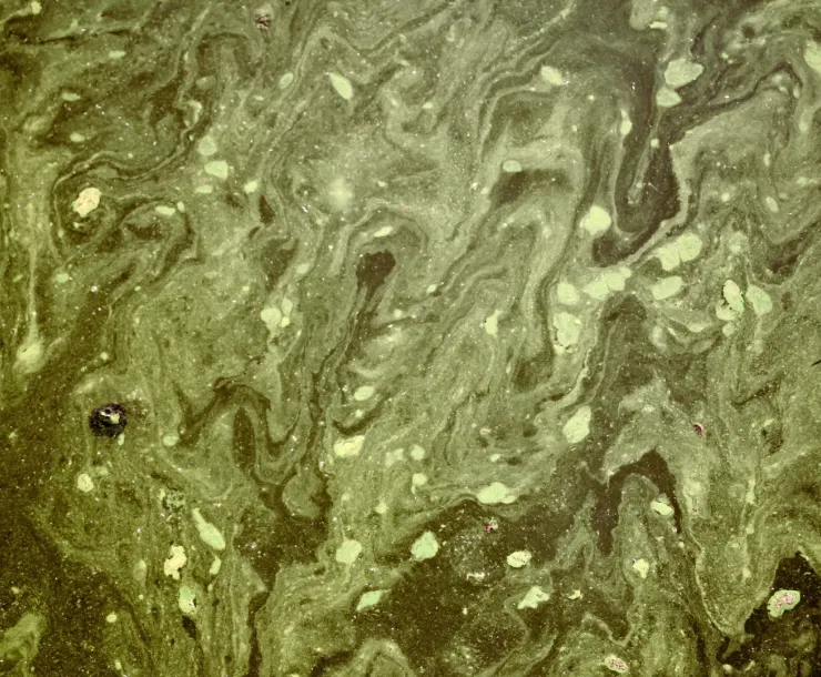 Toxic Water