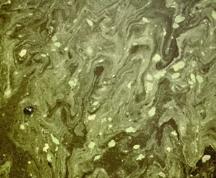 Toxic Water