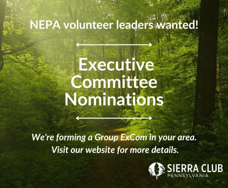 A graphic with a forest in the background and white text, "NEPA volunteer leaders wanted! | Executive Committee Nominations | We're forming a Group ExCom in your area. Visit our website for more details" and the Sierra Club Pennsylvania logo in the bottom right.